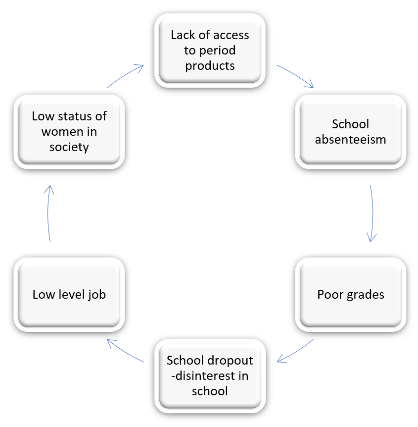 Menstrual Hygiene  Water, Sanitation, and Environmentally Related